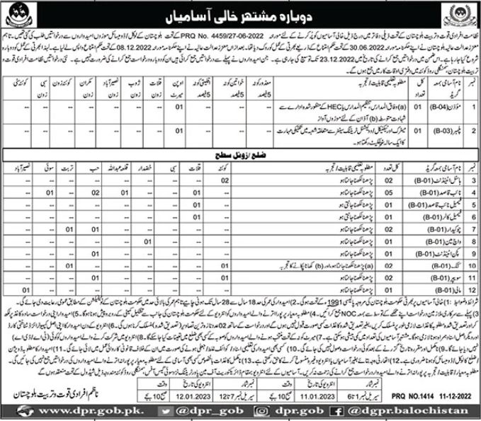 Directorate of Manpower Training Balochistan Jobs 2022